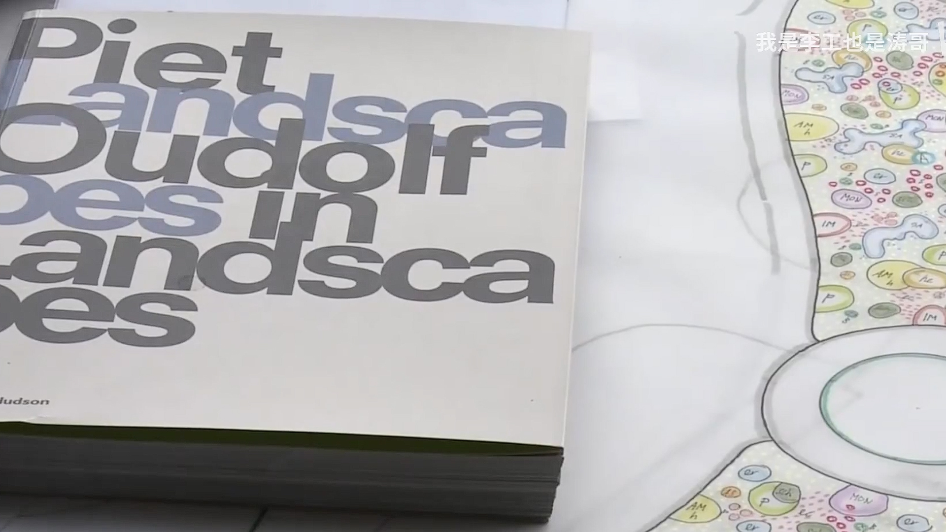 奥多夫讲花园如何设计