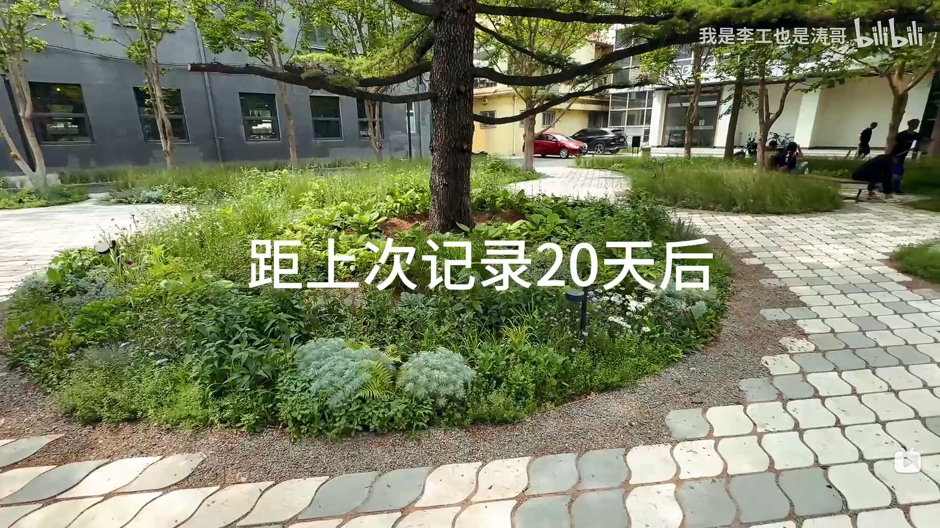 三里屯在野花园设计（1个月后）