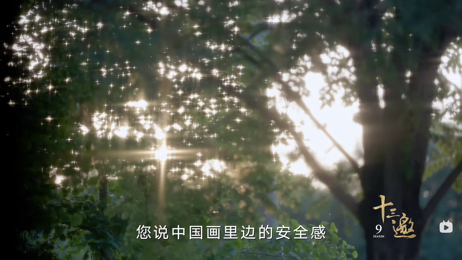 许知远对话徐小虎